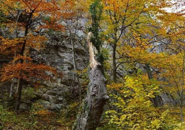 O escapadă de toamnă