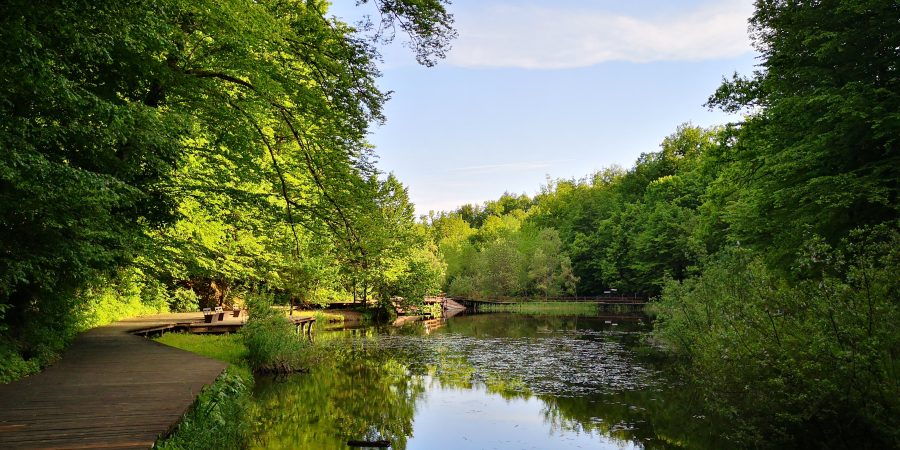Cum arată pielea după trei zile în apa Mării Moarte a Transilvaniei?