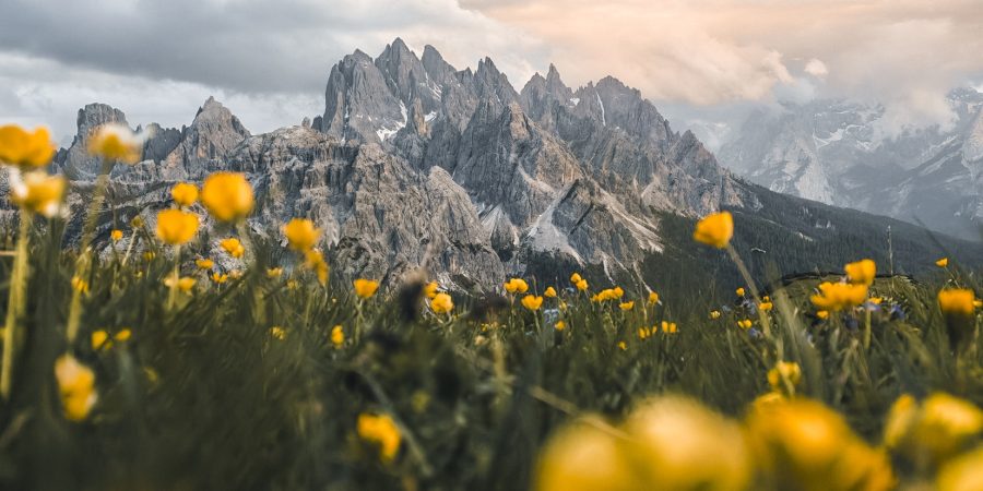 5,3 miliarde de imagini în fiecare zi, la nivel global: seria HONOR 600 simplifică editarea foto cu ajutorul AI